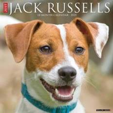 Willow Creek Press Just Jack Russells 2025 12 X 12 Calendar