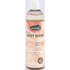 Hair Products Shampoo Ravene Easy Shine Blanc 500ml