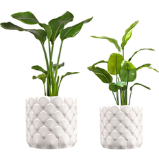 Pots, Plants & Cultivation Happimess Syrie Modern Bohemian Indoor Ocean Wave Eco-Friendly