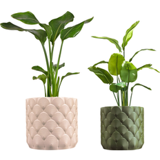 Pots, Plants & Cultivation Happimess Syrie Modern Bohemian Indoor Ocean Wave Eco-Friendly