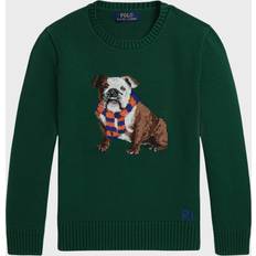 Knitted Sweaters Children's Clothing Polo Ralph Lauren Boy's Bulldog Intarsia Knit Sweater, 2-7 NEW FOREST