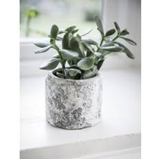 Withington Pot 11.5cm