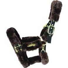 Cob Horse Halters Kentucky Headpiece for sheep Marron
