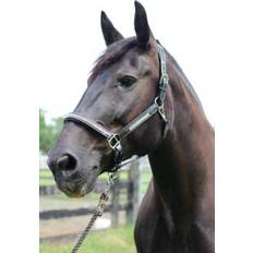Halters & Lead Ropes Henri de Rivel Padded Jewel Horse Halter