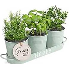 Barnyard Designs örtkruka planterare set