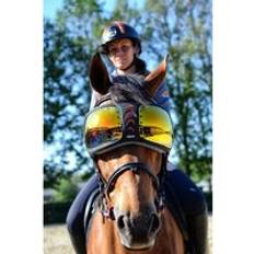 Orange Casques d'équitation Lunettes cheval eQuick eVysor Orange