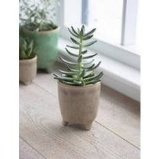 Positano Pot 10.2cm Stone