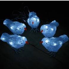 Samuel Alexander Set of 5 16cm Christmas Acrylic Birds with