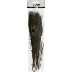 Federn Creativ Company Peacock Feathers 10-pack