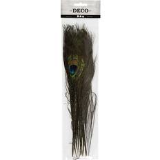 Peacock Feathers 10-pack