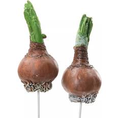 A Lot Decoration Flower Onion Stick Multicolor Dekoration 2st