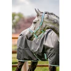 Horseware Beskyttelse & Pleje Horseware Signature Pleje Hovedtøj