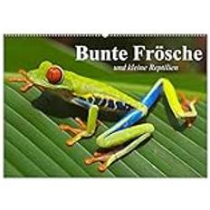 Calvendo Bunte Frösche kleine Reptilien Wandkalender 2025