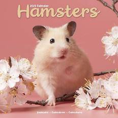 FSC (The Forest Stewardship Council) Calendars Avonside Hamsters 2025 square wall calendar