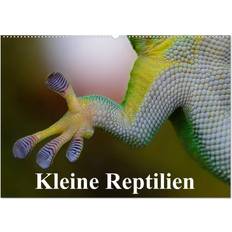 Reptilien Calvendo 2025 Kleine Reptilien Wandkalender A2