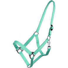 Horse Halters on sale QHP Slider Headcollar Q-essentials - Turquoise