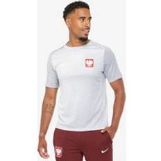 Nike Poland 2024 Dri FIT Academy Pro SS Top Grey