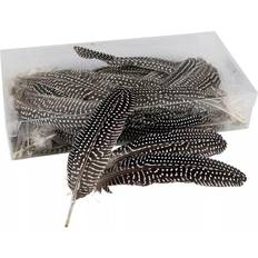 Vita Fjädrar Minnas Dekorationer Feather Dot Long