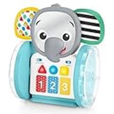 Baby Einstein 16923 Box TOY, flerfärgad