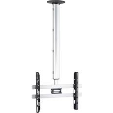 Symple Stuff Swivel Universal Ceiling Mount