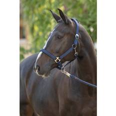 Halter For Horse Doria - Bleu