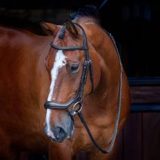 Bridles Shires Black, Full Velociti RAPIDA Ergonomic Flash Bridle
