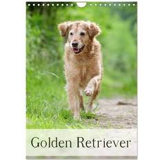 Gold Kalender Calvendo Golden Retriever Wandkalender 2025 DIN A4