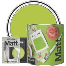 Paint Rust-Oleum Washable Matt KEY LIME Green