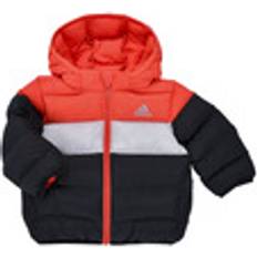 Adidas Jakker adidas Synthetic Dunjakke - Bright Red/Grey One/Black