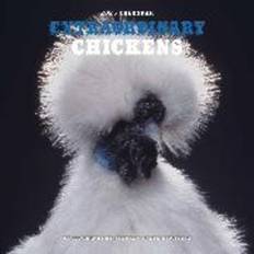 Harry N. Abrams Extraordinary Chickens 2025