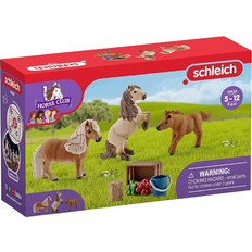 Plastique Ensembles de jeu Schleich Miniature Shetland Pony Family 41432