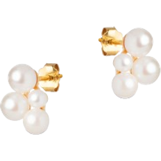 14k Smykker ENAMEL Copenhagen Mae Studs - Gold/Pearls