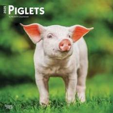 FSC (The Forest Stewardship Council) Calendars BrownTrout Piglets Calendar 2025