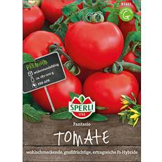 Gemüsesamen Sperli Tomaten Fantasio F1 Gemüsesamen