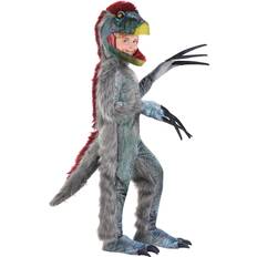 Fun Costumes Child Therizinosaurus Dinosaur Costume Kid's Dinosaur Costumes Gray&#47 Blue&#47 Red