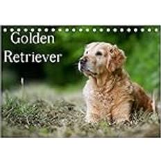 Kalender & Notizblöcke Calvendo Golden Retriever Tischkalender 2025 DIN A5 quer