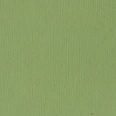 Green Watercolor Paper American Crafts Bazzill Fourz Cardstock Lily Pond 12"X12"