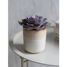Pots, Plants & Cultivation Garden Trading Hillesley Pot Ivory 11cm