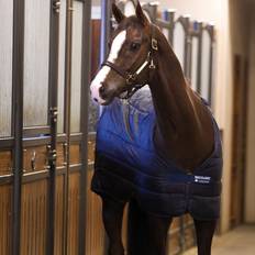 Horseware Liner 400g Underdækken