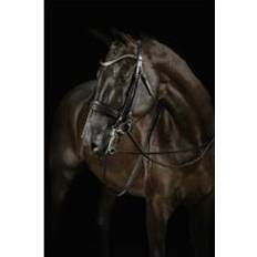 Gold Bridles Doppelte Reitzunge Mrs. Ros Deluxe Knight Power Marron