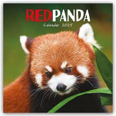 Red Calendars Carousel Calendars panda wall calendar 2025