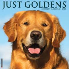 Calendars Willow Creek Press 2025 Just Goldens Calendar