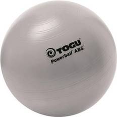 Gym Balls Togu Powerball ABS 35 cm silber