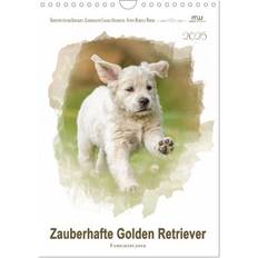 Gold Kalender Calvendo Zauberhafte Golden Retriever Wandkalender 2025 A4