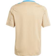 adidas Argentina Training Jersey Men's Beige