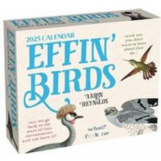 Andrews McMeel Publishing Effin' Birds 2025 Day-to-Day Calendar