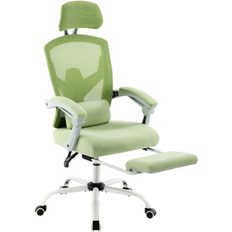 Ivy Bronx Mesh High Back Ergonomic Lumbar Support Pillow Office Chair