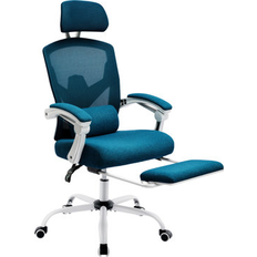 Ivy Bronx Mesh High Back Ergonomic Lumbar Support Pillow Office Chair