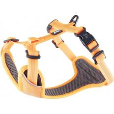 Feel Active Sele Orange