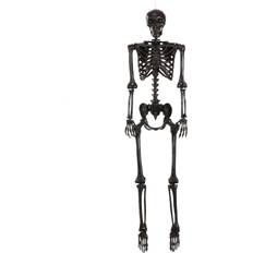 Halloween Skeletons Fun Costumes Poseable Crazy Bones Skeleton in Black Halloween Prop